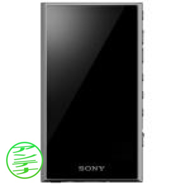 SONY ソニー ウォークマン NW-A306 H （グレー）