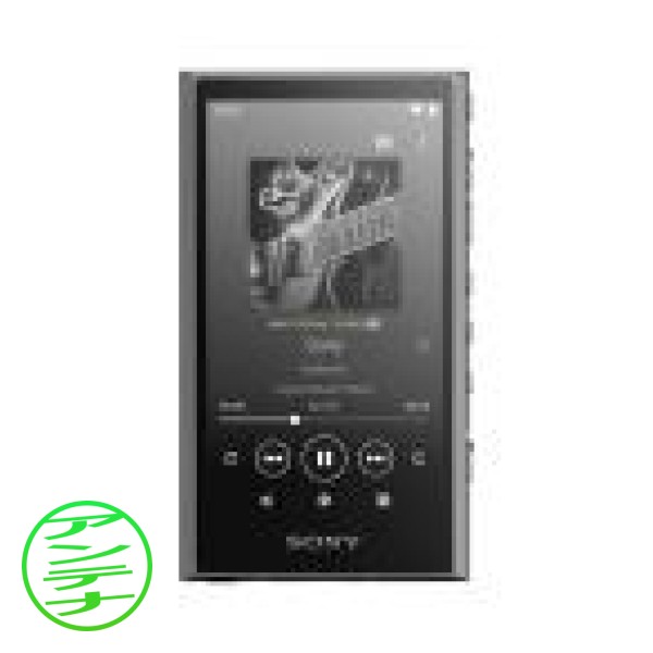 SONY NW-A307 (H) [64GB グレー]